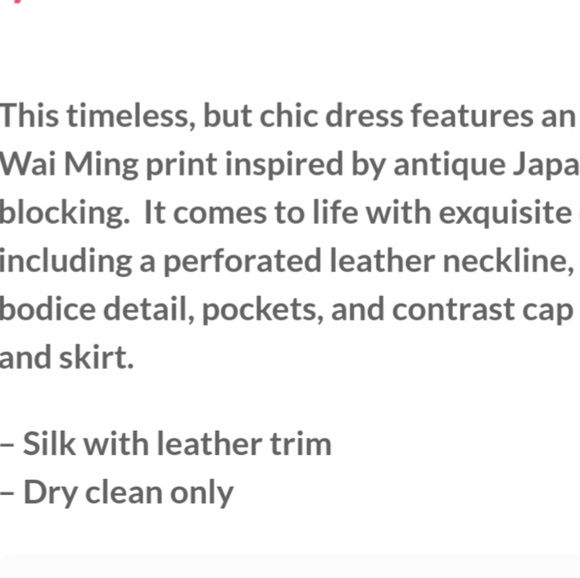 Wai Ming Josie Dress - Picture 3 of 6